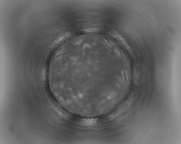 X0000112770161200909101558