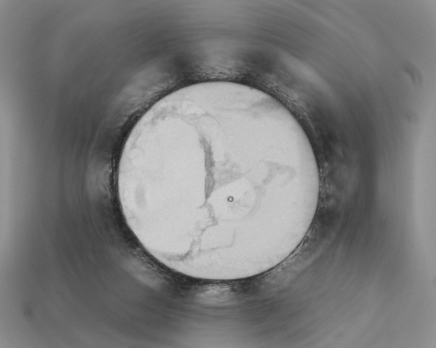 X0000112770162200909101558