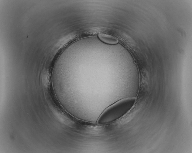 X0000112770164200909101558