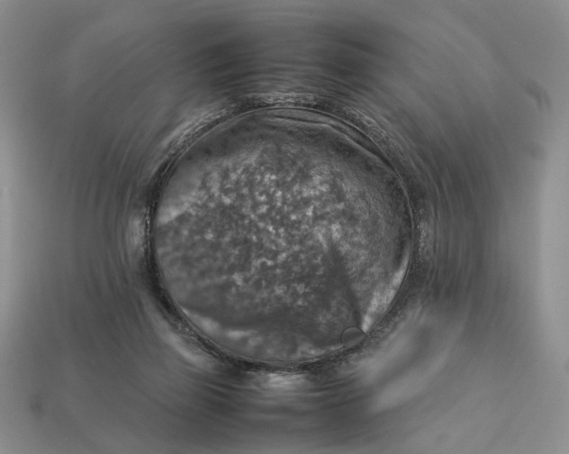 X0000112770165200909101558