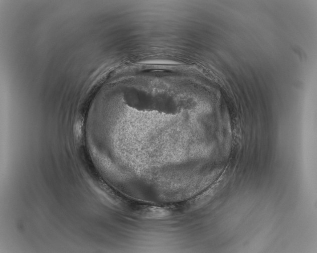 X0000112770166200909101558