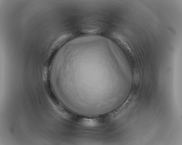 X0000112770167200909101558