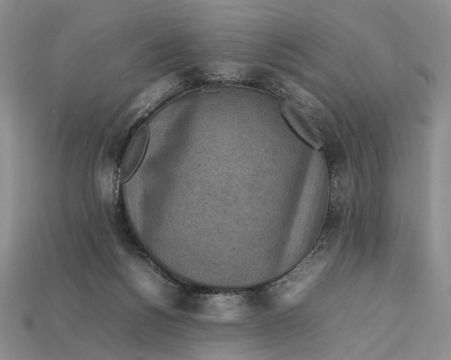 X0000112770168200909101558