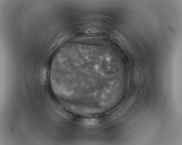 X0000112770169200909101558