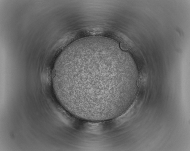 X0000112770170200909101558