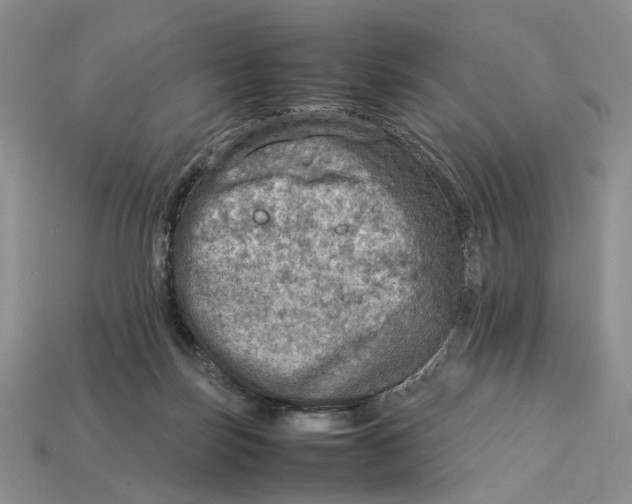 X0000112770171200909101558