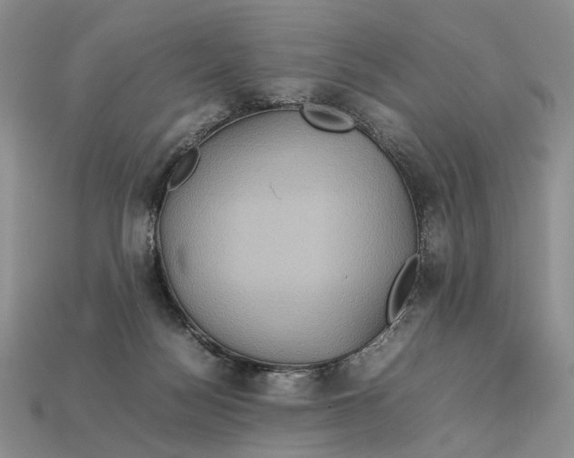 X0000112770172200909101558