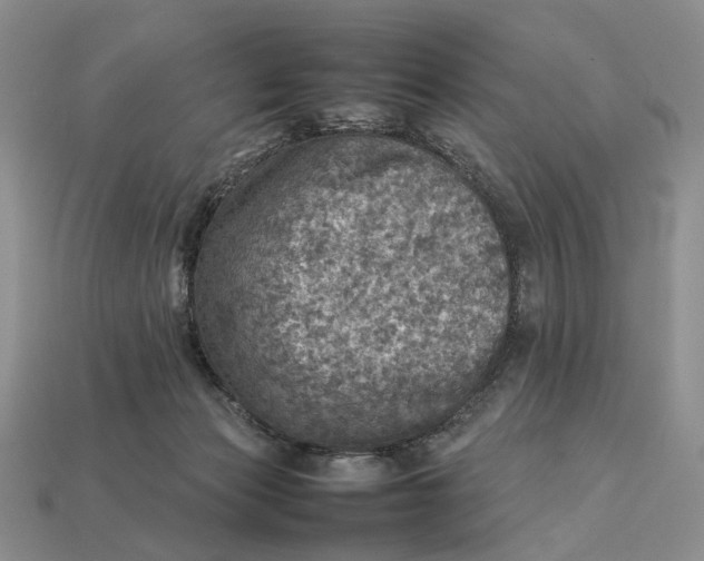 X0000112770173200909101558