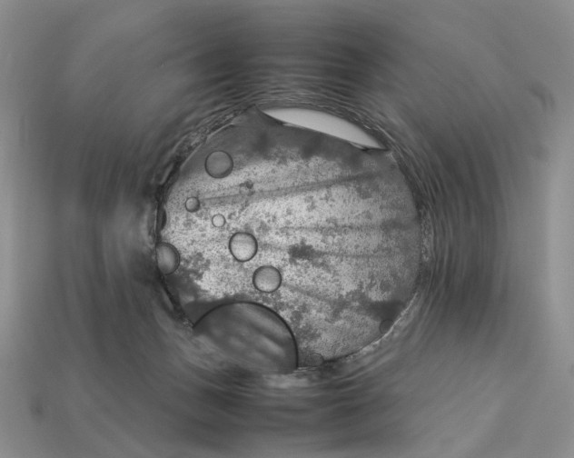 X0000112770175200909101558