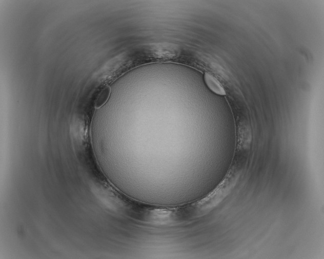 X0000112770176200909101558