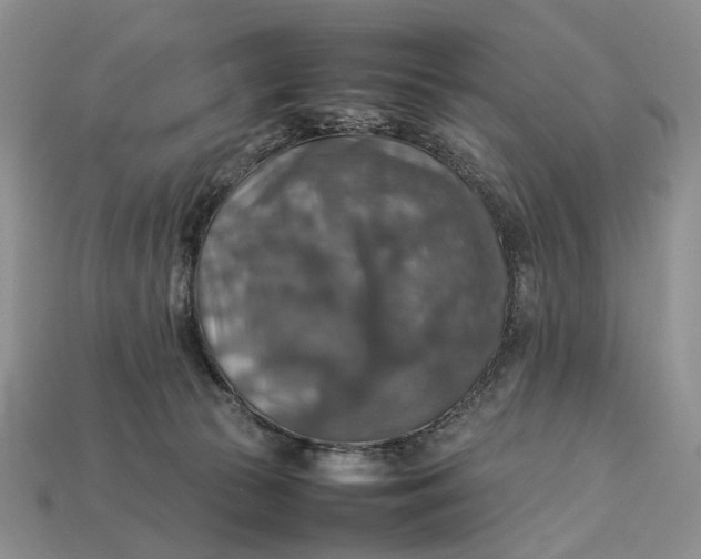 X0000112770177200909101558