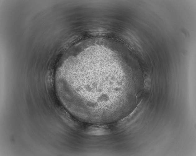 X0000112770179200909101558