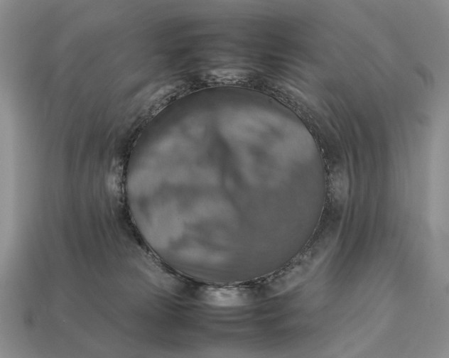 X0000112770181200909101558