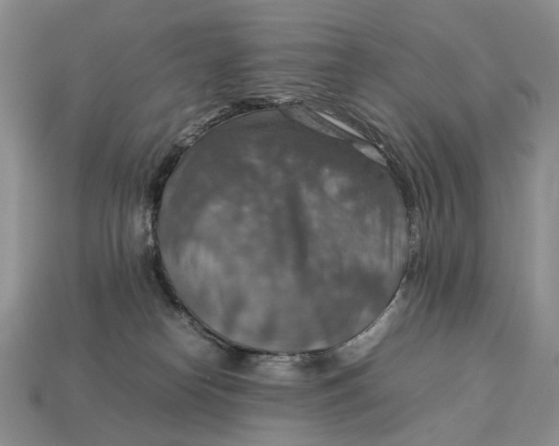 X0000112770182200909101558