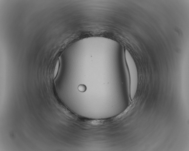 X0000112770184200909101558