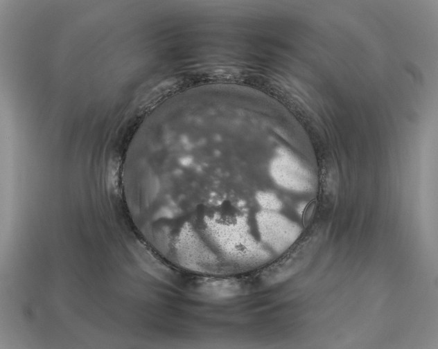 X0000112770185200909101558