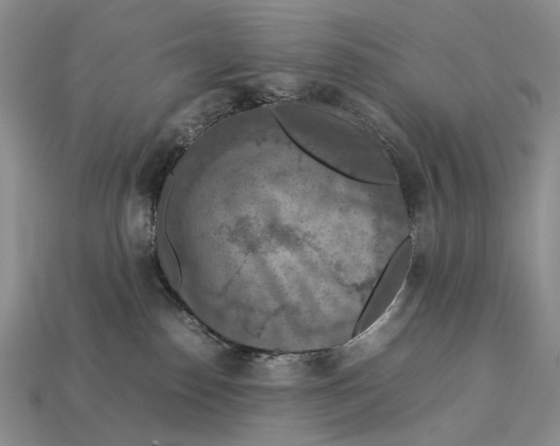 X0000112770186200909101558