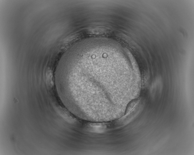 X0000112770187200909101558