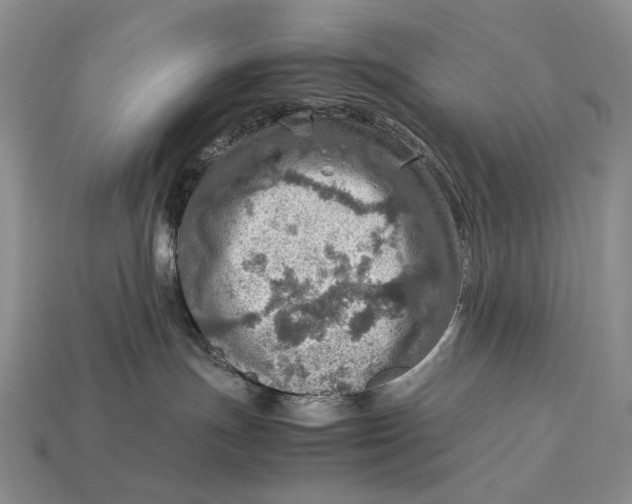 X0000112770191200909101559