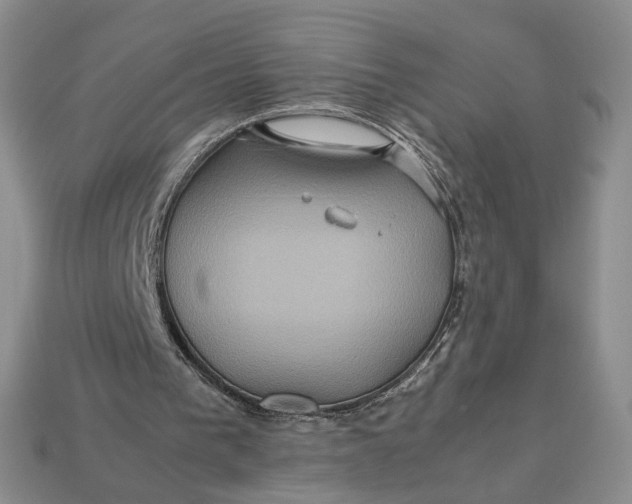 X0000112770193200909101558