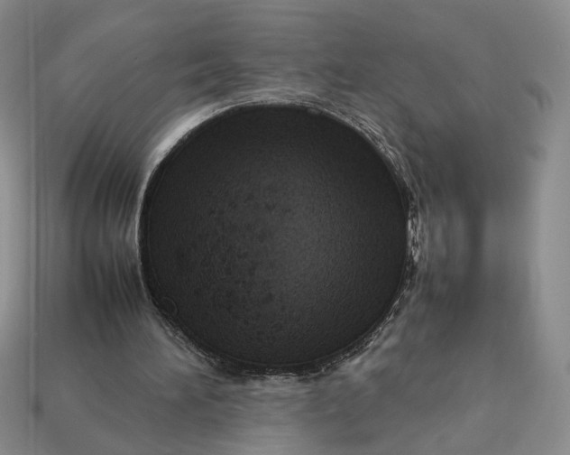 X0000112770196200909101558