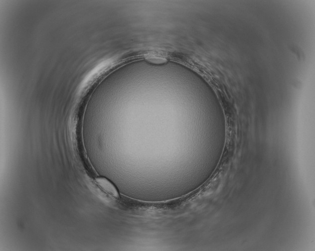 X0000112770197200909101558