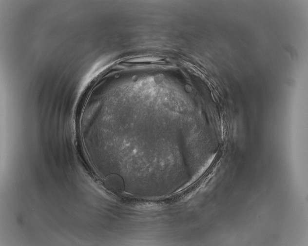 X0000112770198200909101558