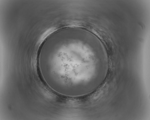 X0000112770199200909101558