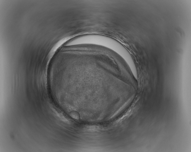 X0000112770200200909101558