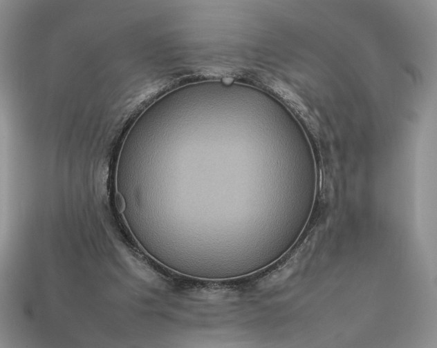 X0000112770201200909101558