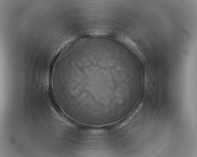 X0000112770202200909101558