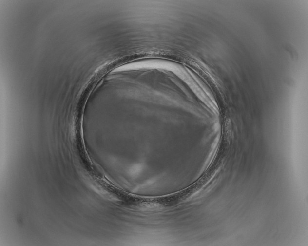 X0000112770203200909101558