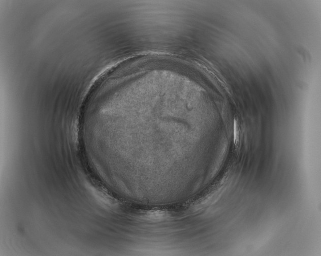 X0000112770204200909101558