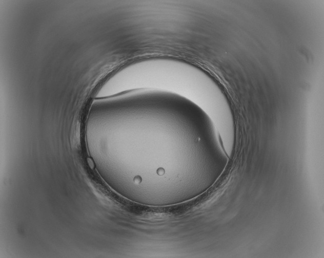 X0000112770205200909101558