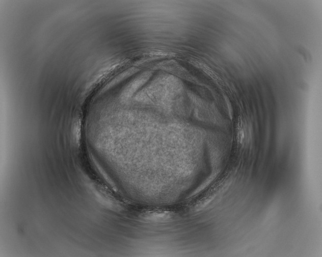 X0000112770206200909101558