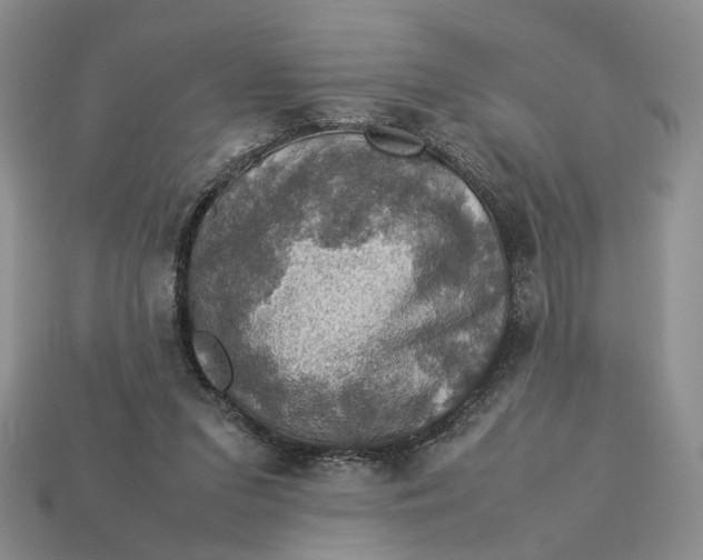 X0000112770207200909101558