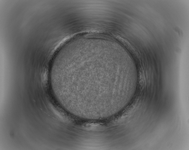 X0000112770208200909101558