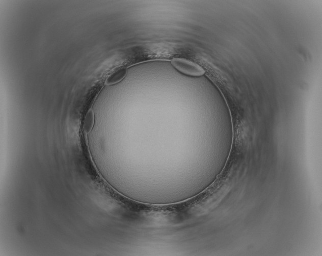 X0000112770209200909101558