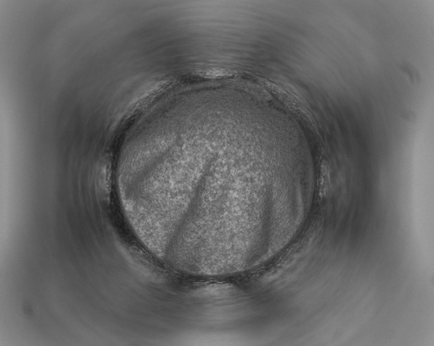 X0000112770210200909101558