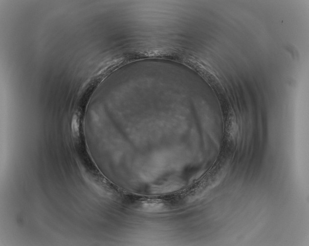 X0000112770214200909101558