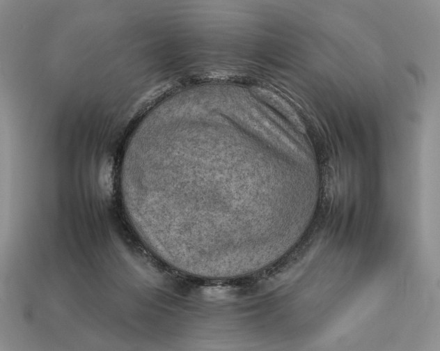 X0000112770216200909101558