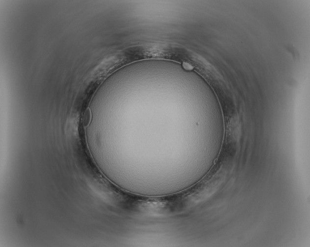 X0000112770217200909101558