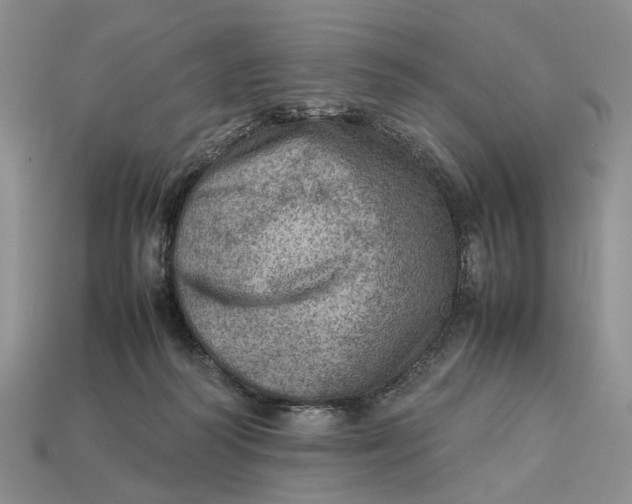 X0000112770218200909101558