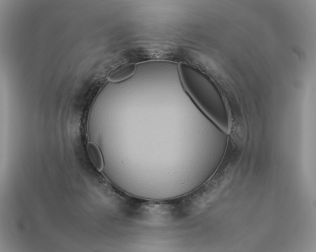 X0000112770221200909101558