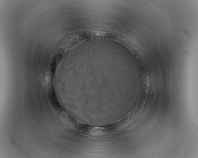 X0000112770222200909101558