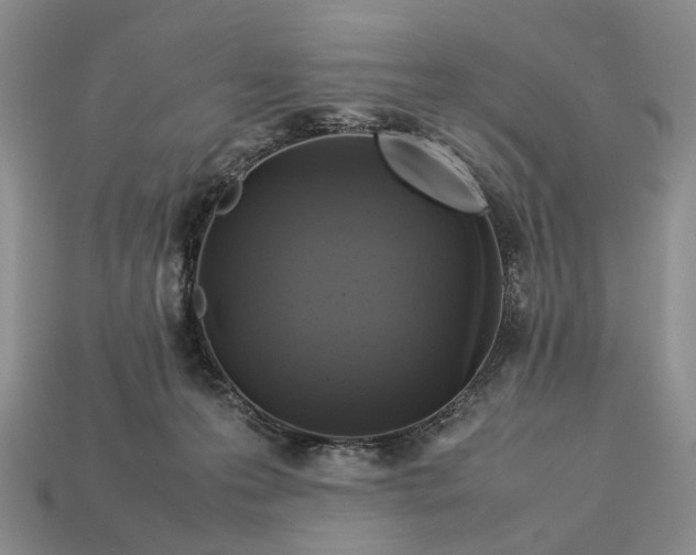 X0000112770223200909101558