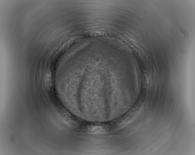 X0000112770224200909101558