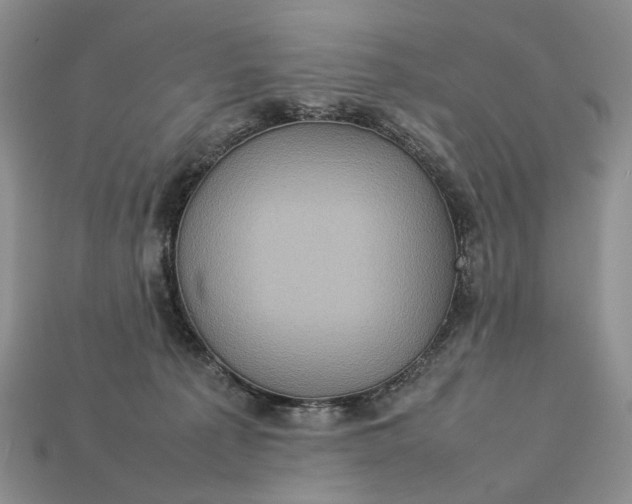 X0000112770225200909101558