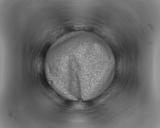 X0000112770226200909101557