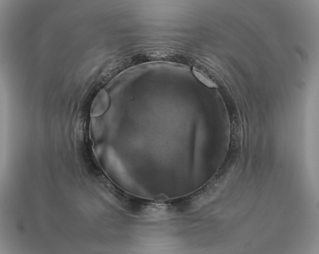 X0000112770227200909101557